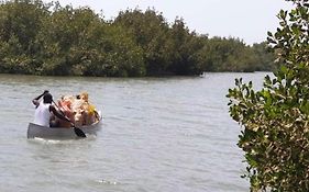 Mangrove Beach